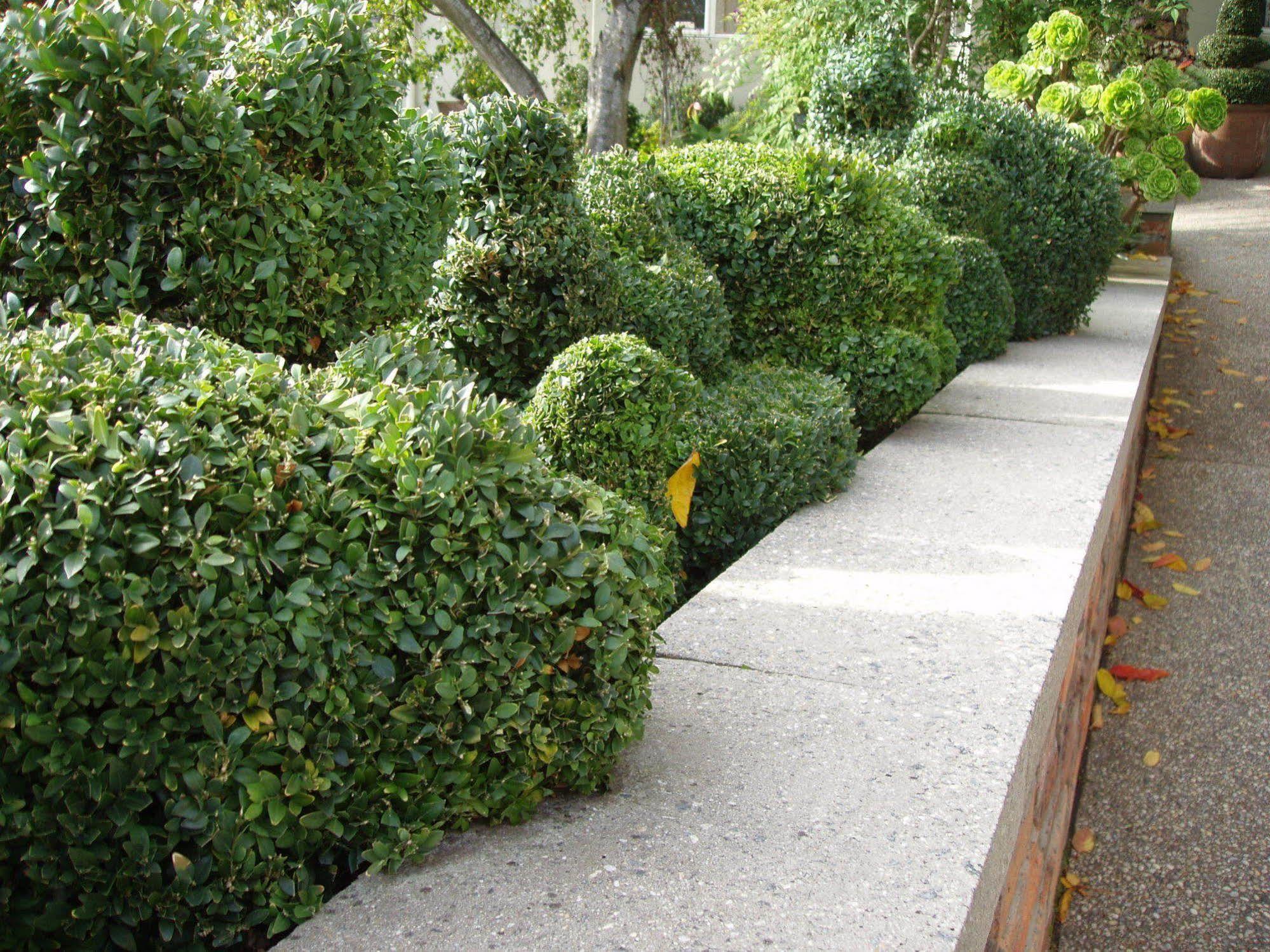 Topiary Haven Apartment Launceston Exterior photo