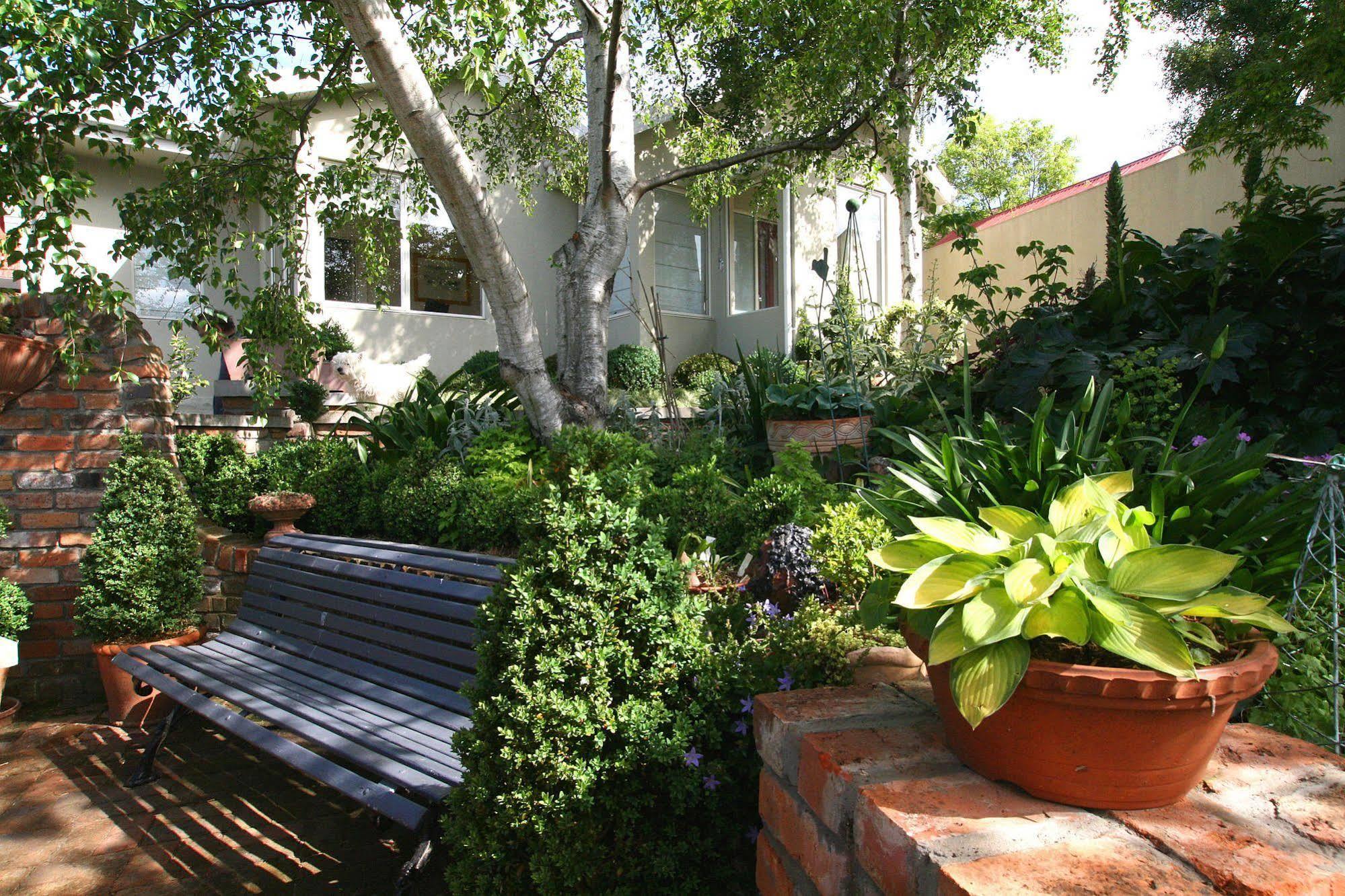 Topiary Haven Apartment Launceston Exterior photo