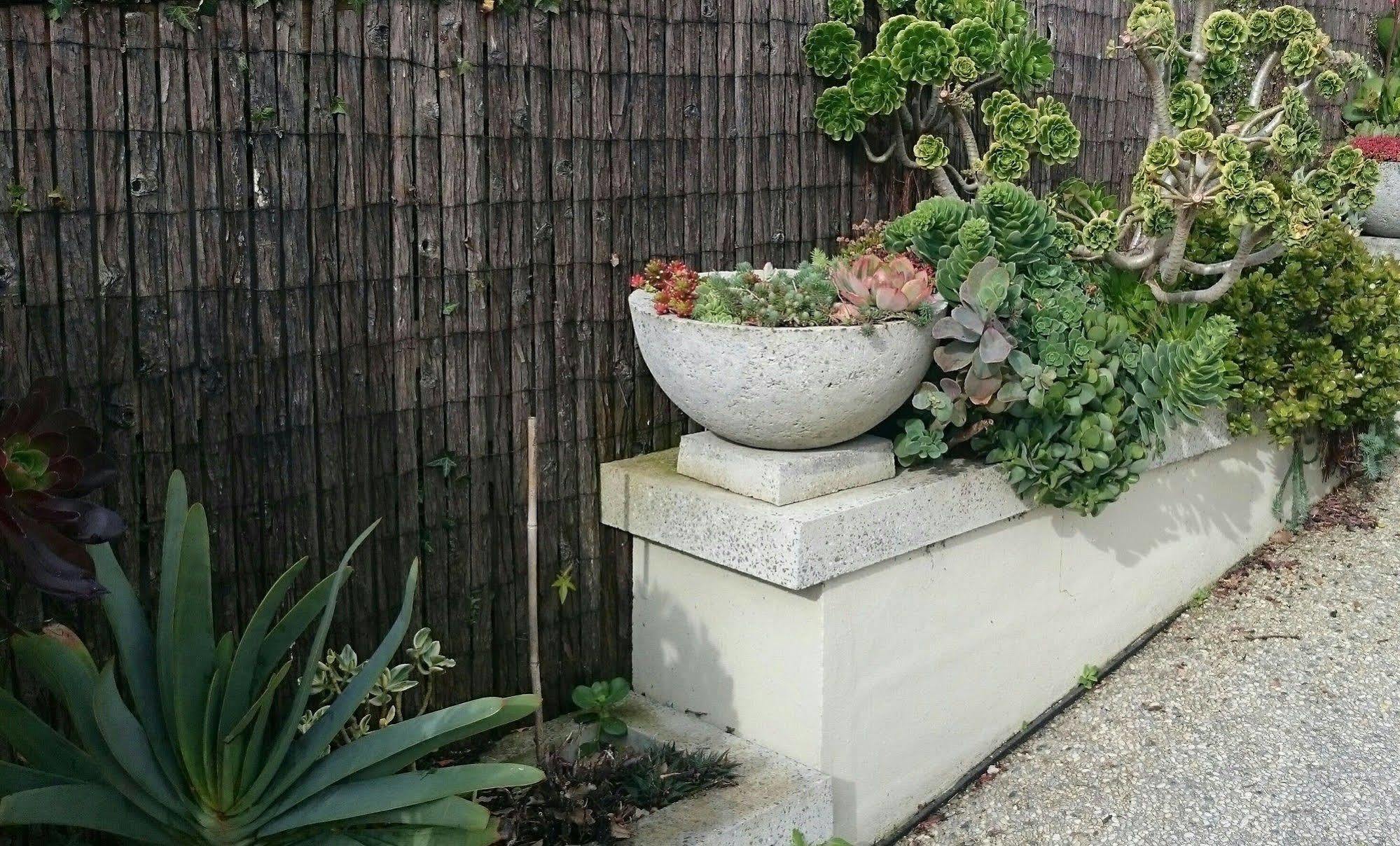 Topiary Haven Apartment Launceston Exterior photo